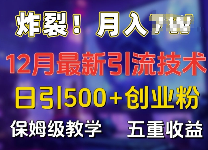 炸裂!揭秘12月最新日引流500+精准创业粉，多重收益保姆级教学-大兵轻创资源库