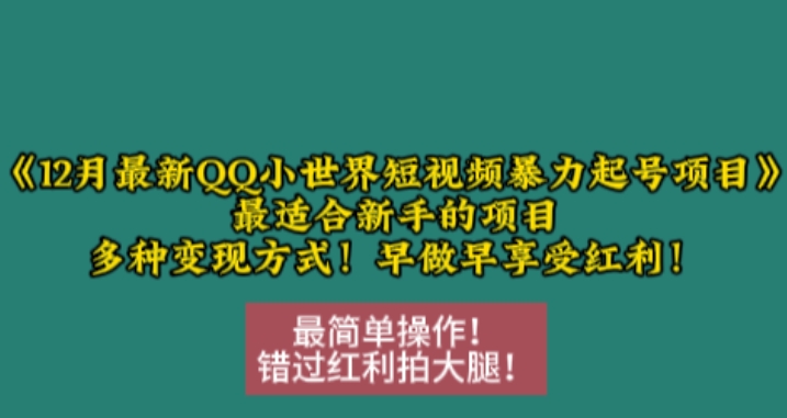 12月最新QQ小世界短视频暴力起号项目，最适合新手的项目，多种变现方式-大兵轻创资源库