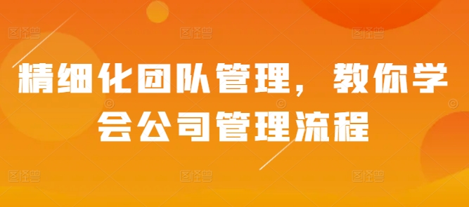 精细化团队管理，教你学会公司管理流程-大兵轻创资源库