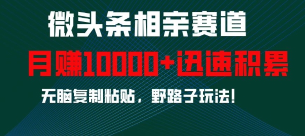 微头条相亲赛道，迅速积累，无脑复制粘贴，野路子玩法，月入1w-大兵轻创资源库