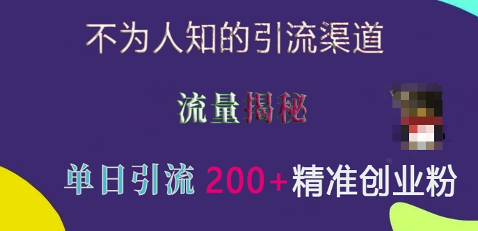 不为人知的引流渠道，流量揭秘，实测单日引流200+精准创业粉【揭秘】-大兵轻创资源库