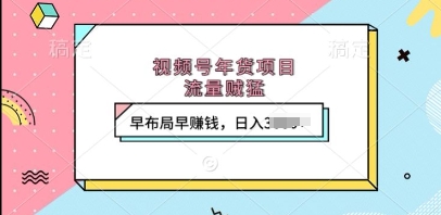 视频号年货项目，流量贼猛，早布局早挣钱，日入上k【揭秘】-大兵轻创资源库