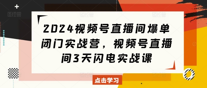 2024视频号直播间爆单闭门实战营，视频号直播间3天闪电实战课-大兵轻创资源库