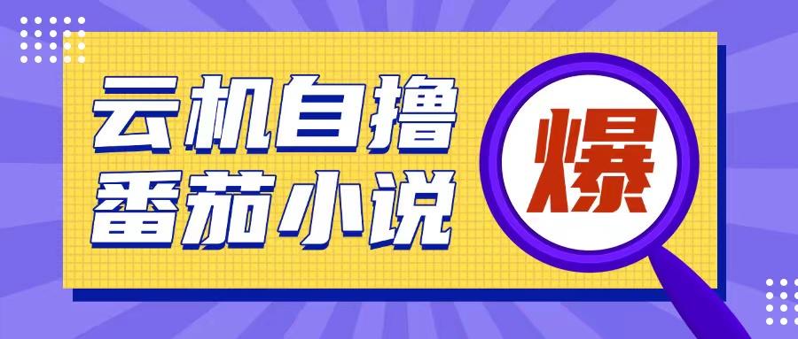首发云手机自撸小说玩法，10块钱成本可撸200+收益操作简单【揭秘】-大兵轻创资源库