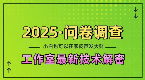 2025问卷调查最新工作室技术解密：一个人在家也可以闷声发大财，小白一天2张，可矩阵放大【揭秘】-大兵轻创资源库