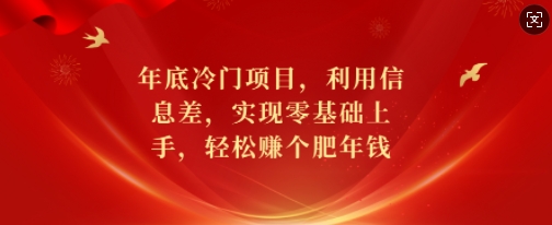 年底冷门项目，利用信息差，实现零基础上手，轻松赚个肥年钱【揭秘】-大兵轻创资源库