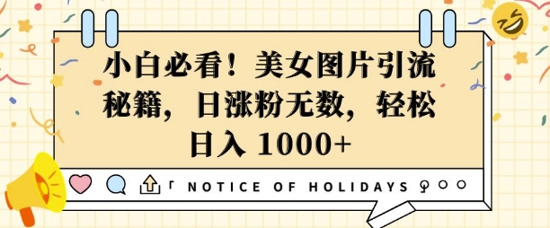 小白必看，美女图片引流秘籍，日涨粉无数，轻松日入几张【揭秘】-大兵轻创资源库