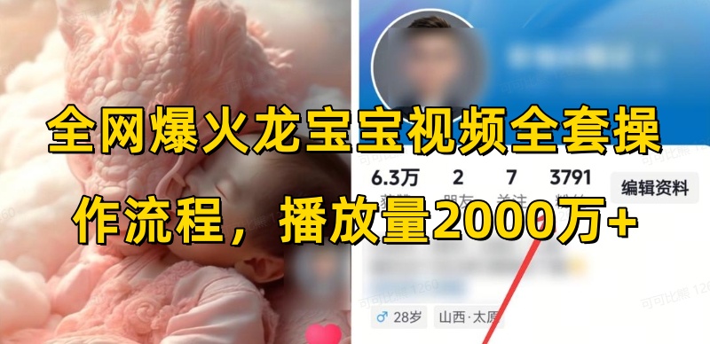 全网爆火龙宝宝视频全套操作流程，播放量2000万+-大兵轻创资源库
