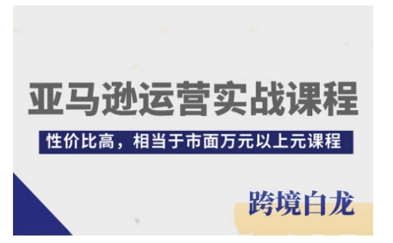 亚马逊运营实战课程，亚马逊从入门到精通，性价比高，相当于市面万元以上元课程-大兵轻创资源库