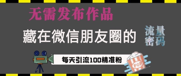 藏在微信朋友圈的流量密码，无需发布作品，单日引流100+精准创业粉【揭秘】-大兵轻创资源库