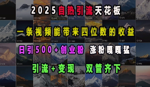 2025自热引流天花板，一条视频能带来四位数的收益，引流+变现双管齐下，日引500+创业粉，涨粉嘎嘎猛-大兵轻创资源库