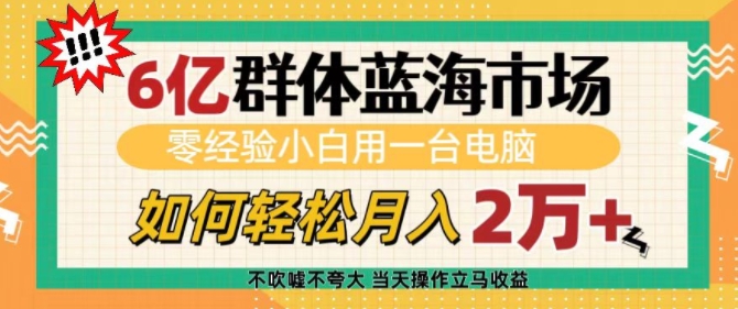6亿群体蓝海市场，零经验小白用一台电脑，如何轻松月入过w【揭秘】-大兵轻创资源库