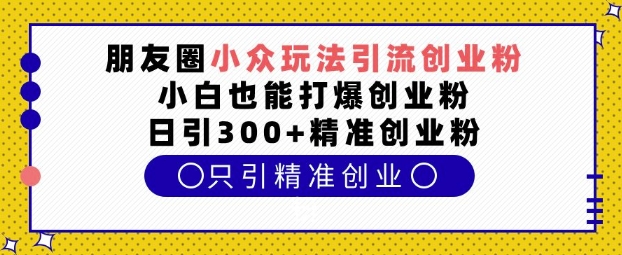朋友圈小众玩法引流创业粉，小白也能打爆创业粉，日引300+精准创业粉【揭秘】-大兵轻创资源库