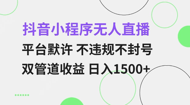 抖音小程序无人直播 平台默许 不违规不封号 双管道收益 日入多张 小白也能轻松操作【仅揭秘】-大兵轻创资源库