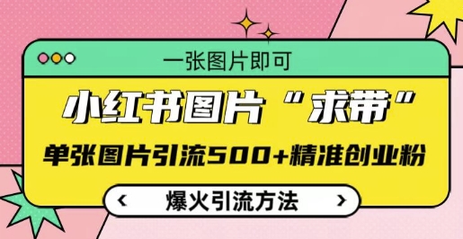 小红书图片‘求带’爆火引流法，单张图片引流500+精准创业粉【揭秘】-大兵轻创资源库