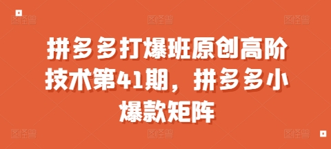 拼多多打爆班原创高阶技术第41期，拼多多小爆款矩阵-大兵轻创资源库