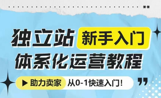 独立站新手入门体系化运营教程,助力独立站卖家从0-1快速入门!-大兵轻创资源库