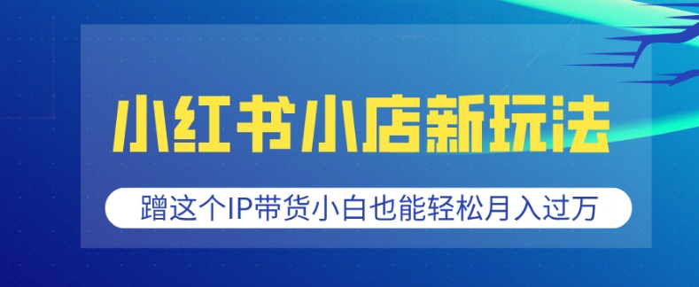 小红书小店新玩法，蹭这个IP带货，小白也能轻松月入过W【揭秘】-大兵轻创资源库