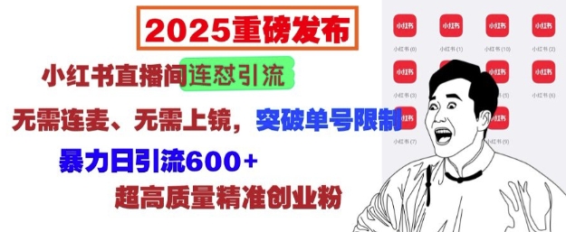 2025重磅发布：小红书直播间连怼引流，无需连麦、无需上镜，突破单号限制，暴力日引流600+-大兵轻创资源库