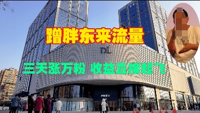 蹭胖东来流量，三天涨万粉，收益直接起飞-大兵轻创资源库
