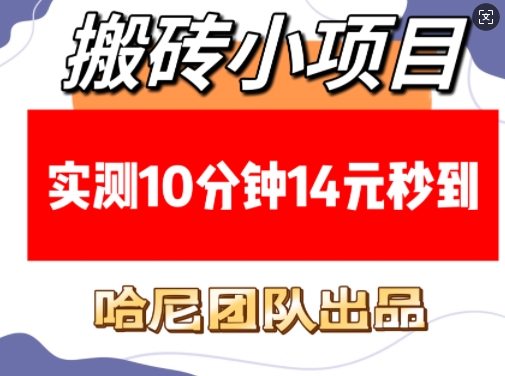 搬砖小项目，实测10分钟14元秒到，每天稳定几张(赠送必看稳定)-大兵轻创资源库