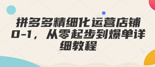 拼多多精细化运营店铺0-1，从零起步到爆单详细教程-大兵轻创资源库