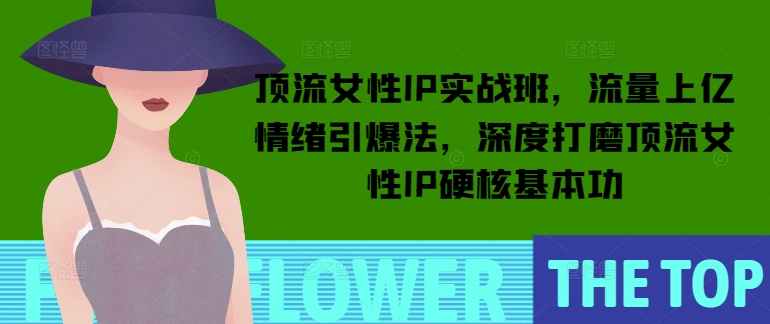 顶流女性IP实战班，流量上亿情绪引爆法，深度打磨顶流女性IP硬核基本功-大兵轻创资源库