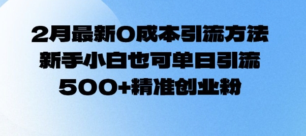 2月最新0成本引流方法，新手小白也可单日引流500+精准创业粉-大兵轻创资源库