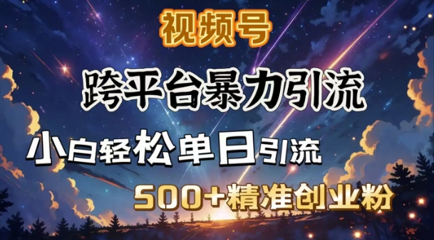跨平台暴力引流，私域完美闭环，日引500+精准创业粉-大兵轻创资源库