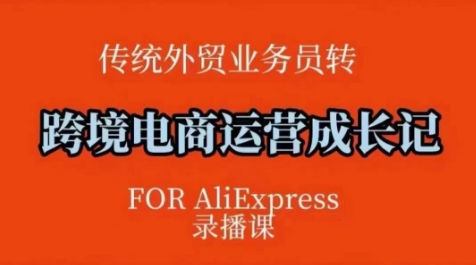 跨境电商速卖通运营课，​运营方法论+后台实操，逻辑清晰-大兵轻创资源库