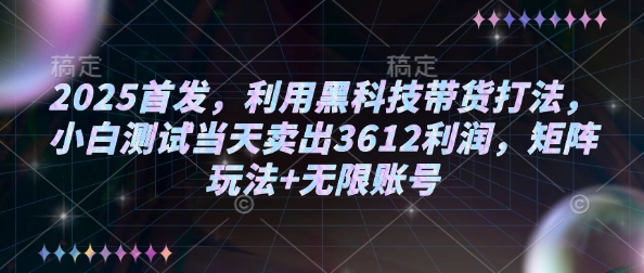2025首发，利用黑科技带货打法，小白测试当天卖出3612利润，矩阵玩法+无限账号【揭秘】-大兵轻创资源库