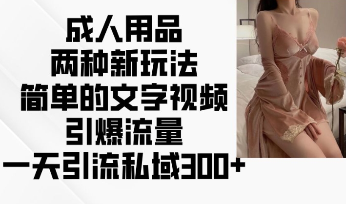 成人用品两种新玩法，简单的文字视频引爆流量，一天引流私域300+-大兵轻创资源库
