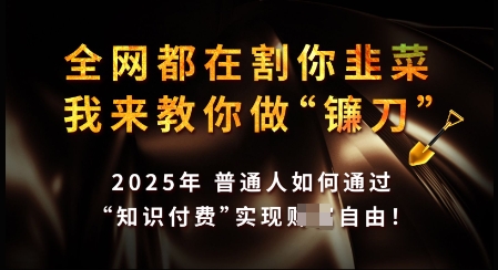知识付费如何做到月入过W+，2025我来教你做“镰刀”【揭秘】-大兵轻创资源库