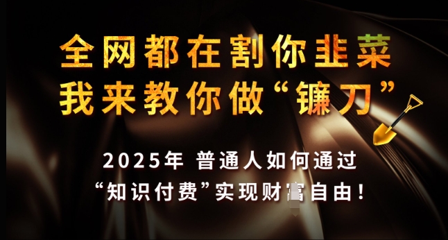 全网都在割你韭菜，我来教你做镰刀，2025年普通人如何通过 知识付费 实现财F自由【揭秘】-大兵轻创资源库