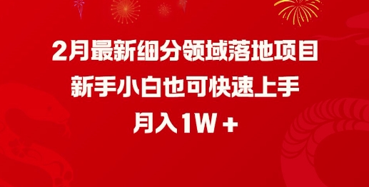 2月最新细分领域落地项目，新手小白也可快速上手，月入1W-大兵轻创资源库