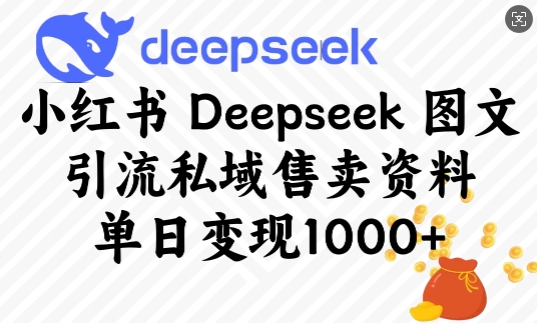 小红书Deepseek图文引流私域售卖资料，单日变现多张-大兵轻创资源库