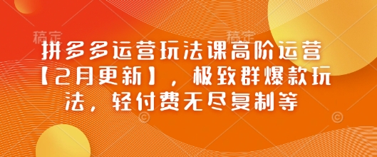 拼多多运营玩法课高阶运营【2月更新】，极致群爆款玩法，轻付费无尽复制等-大兵轻创资源库