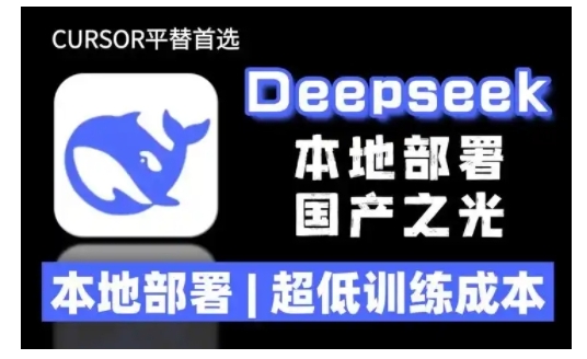 2025年deepseek R1 大型模型本地安装部署(文件+教程)本地部署，超低训练成本-大兵轻创资源库