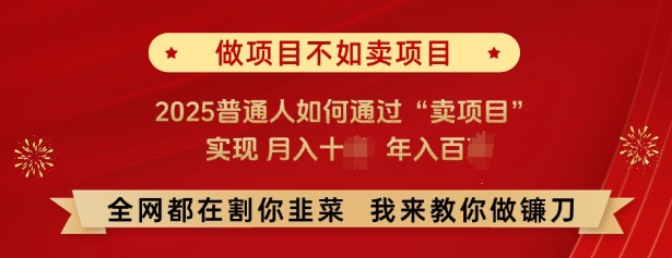 必看，做项目不如卖项目，2025普通人如何通过“卖项目”实现月入十个，年入百个-大兵轻创资源库