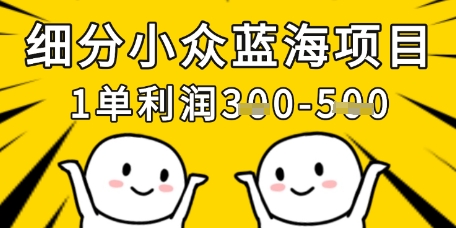细分小众蓝海项目，一单利润3张，每月收入稳定过1w+-大兵轻创资源库