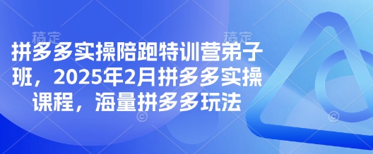 拼多多实操陪跑特训营弟子班，2025年2月拼多多实操课程，海量拼多多玩法-大兵轻创资源库