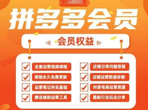 2025拼多多运营实战课，40节全流程教学，覆盖拼多多运营全链路-大兵轻创资源库