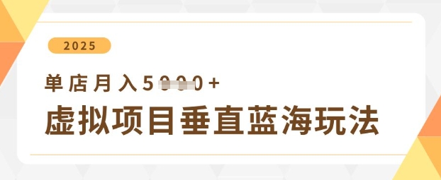虚拟项目垂直玩法，实现单店月入5k+-大兵轻创资源库