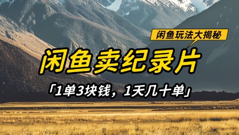 闲鱼卖纪录片1单3块钱，1天几十单，项目稳定有潜力-大兵轻创资源库