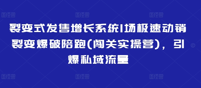 裂变式发售增长系统1场极速动销裂变爆破陪跑(闯关实操营)，引爆私域流量-大兵轻创资源库