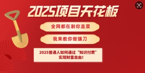 2025项目天花板普通人如何通过知识付费，实现财F自由【揭秘】-大兵轻创资源库