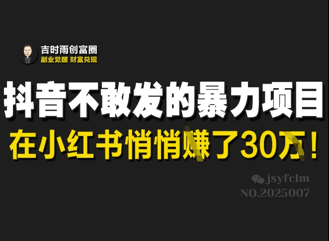 抖音不敢发的暴利项目，在小红书悄悄挣了30W-大兵轻创资源库