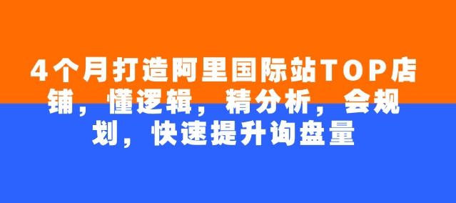 4个月打造阿里国际站TOP店铺，懂逻辑，精分析，会规划，快速提升询盘量-大兵轻创资源库