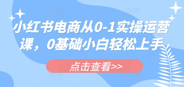 小红书电商从0-1实操运营课，0基础小白轻松上手-大兵轻创资源库