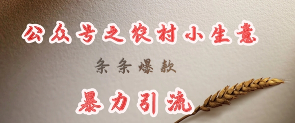 deepseek写农村小项目，条条爆款，暴力引流-大兵轻创资源库